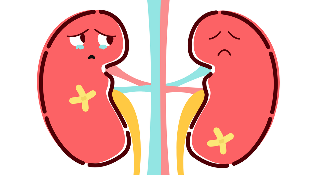Bedwetting: Is My Child’s Kidneys The Culprit?